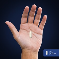 Ultra Quercetin 1170 mg (per serving), 60 Quick Release Capsules