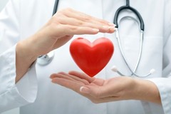 heart health supplement – Cranberry Concentrate 50:1 – kidney and gallbladder 1B