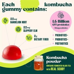 Probiotic Kombucha Gummy – Prebiotics, Probiotics, Postbiotics, Fiber Supplement