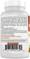 Best Naturals Bilberry Extract 1000 mg 90 Capsules