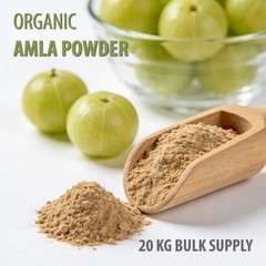 Organic Amla Powder 20KG Bulk Commercial Supply | Phyllanthus Emblica Wholesale