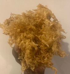 Real Irish sea moss (CHONDRUS CRISPUS) from Canada 4oz – Dr. Sebi Recommended