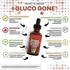 5/3PACK Clean Nutra Berberine with Ceylon Cinnamon Supplement Liquid Drops la…