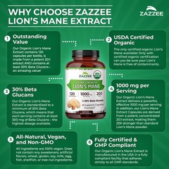 USDA Organic Lion’s Mane 20:1 Extract, 16,000 mg Strength, 120 Vegan Capsules