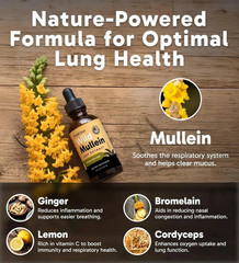 Pack 3 Drops All-Natural Mullein RESPICLEAR with Ginger & Lemon for Lung Cleanse