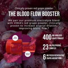 VINIA Resveratrol Electrolyte Hydration Powder Mix Mixed Berry Blood Flow