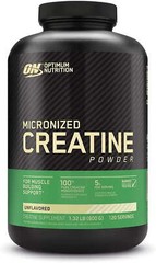 Optimum Nutrition Micronized Creatine Powder, 120 Servings